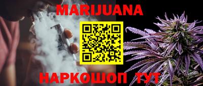 гидропоника Будённовск