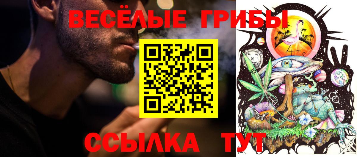 Галлюциногенные грибы ЛСД Барабинск